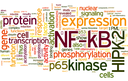 ag schmitz wordcloud