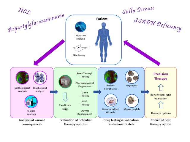 ag tikkanen rare diseases