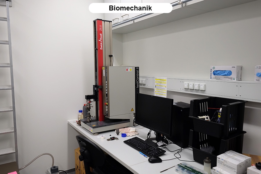 Biomechanik_neu.jpg
