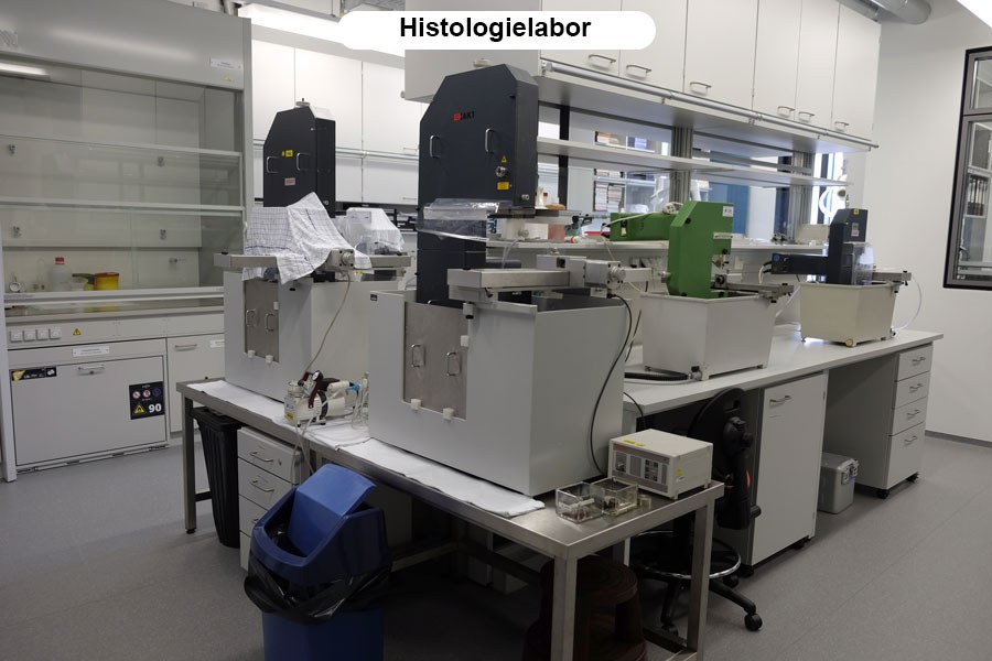 Histologielabor.jpg