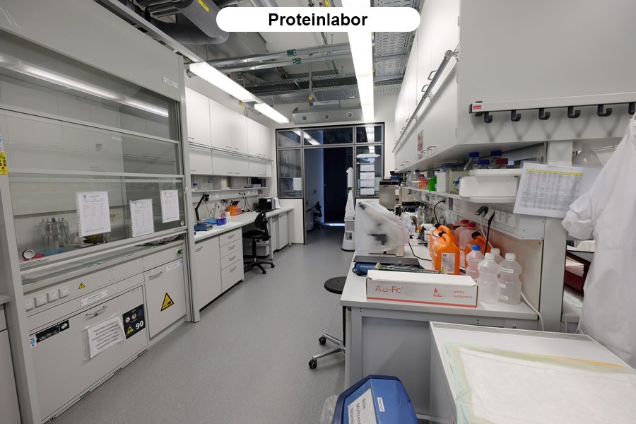 Proteinlabor.jpg