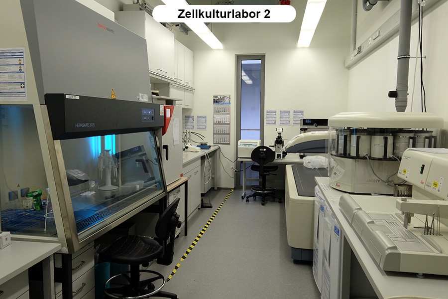 Zellkultur2.jpg