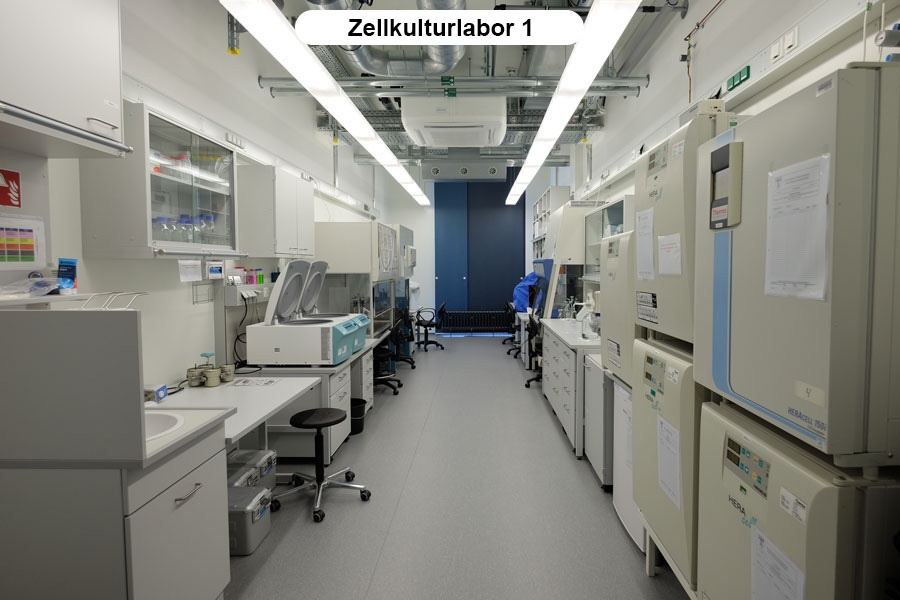 Zellkulturlabor1.jpg