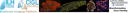 OmeroLogo_JLU_MIP.png