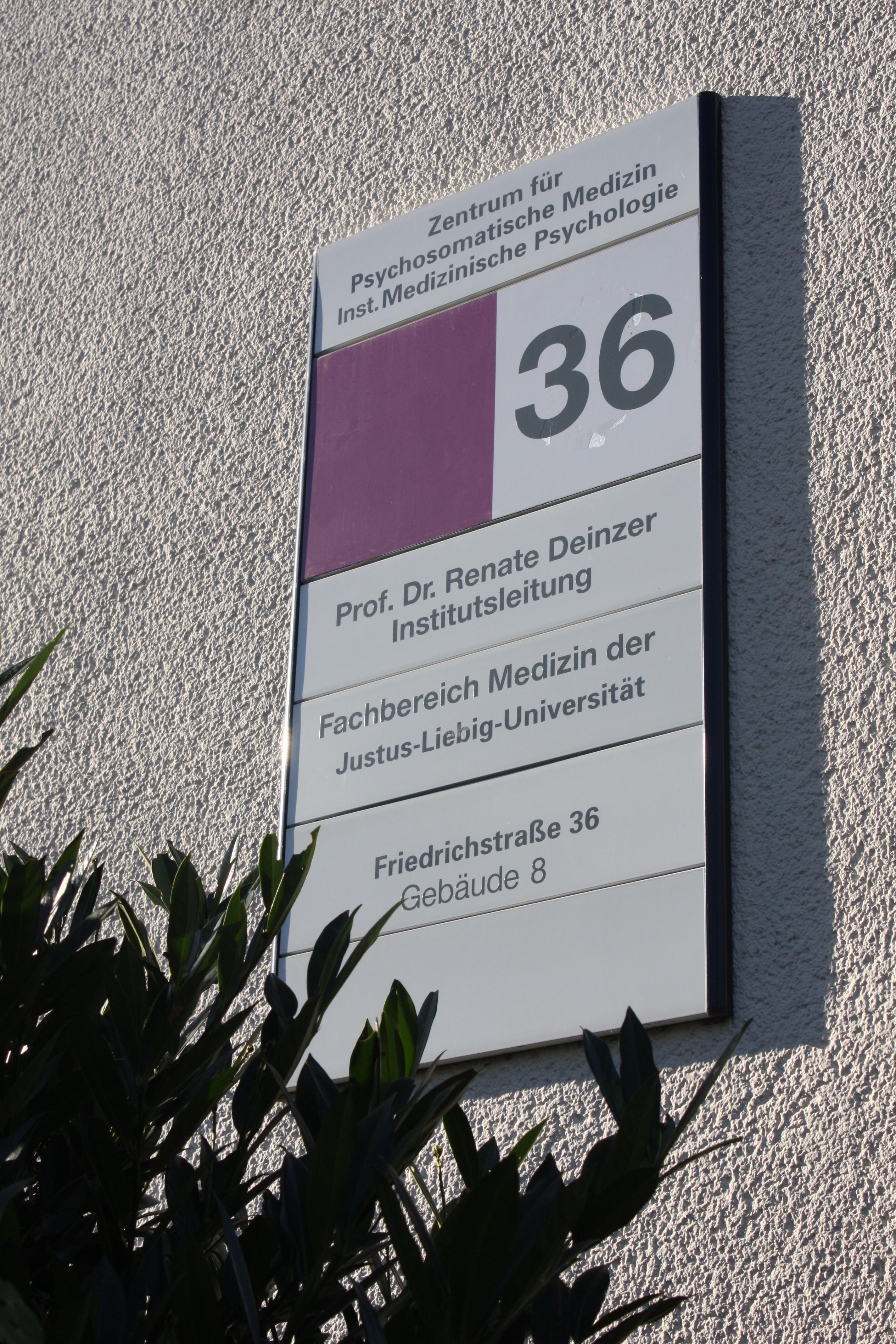 Friedrich 36 Hausschild