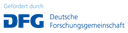 dfg_logo_schriftzug_blau_foerderung_de.png