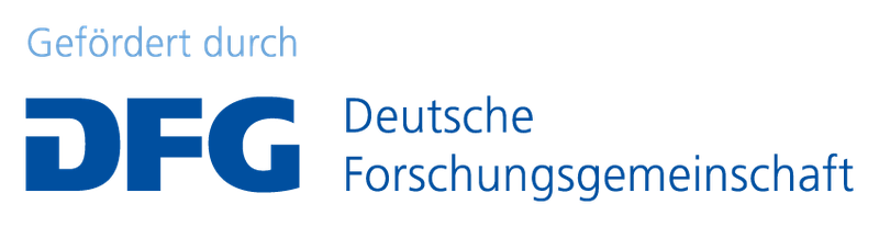 dfg_logo_schriftzug_blau_foerderung_de.png