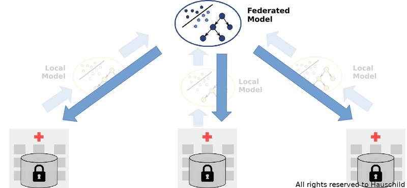 federated model.png