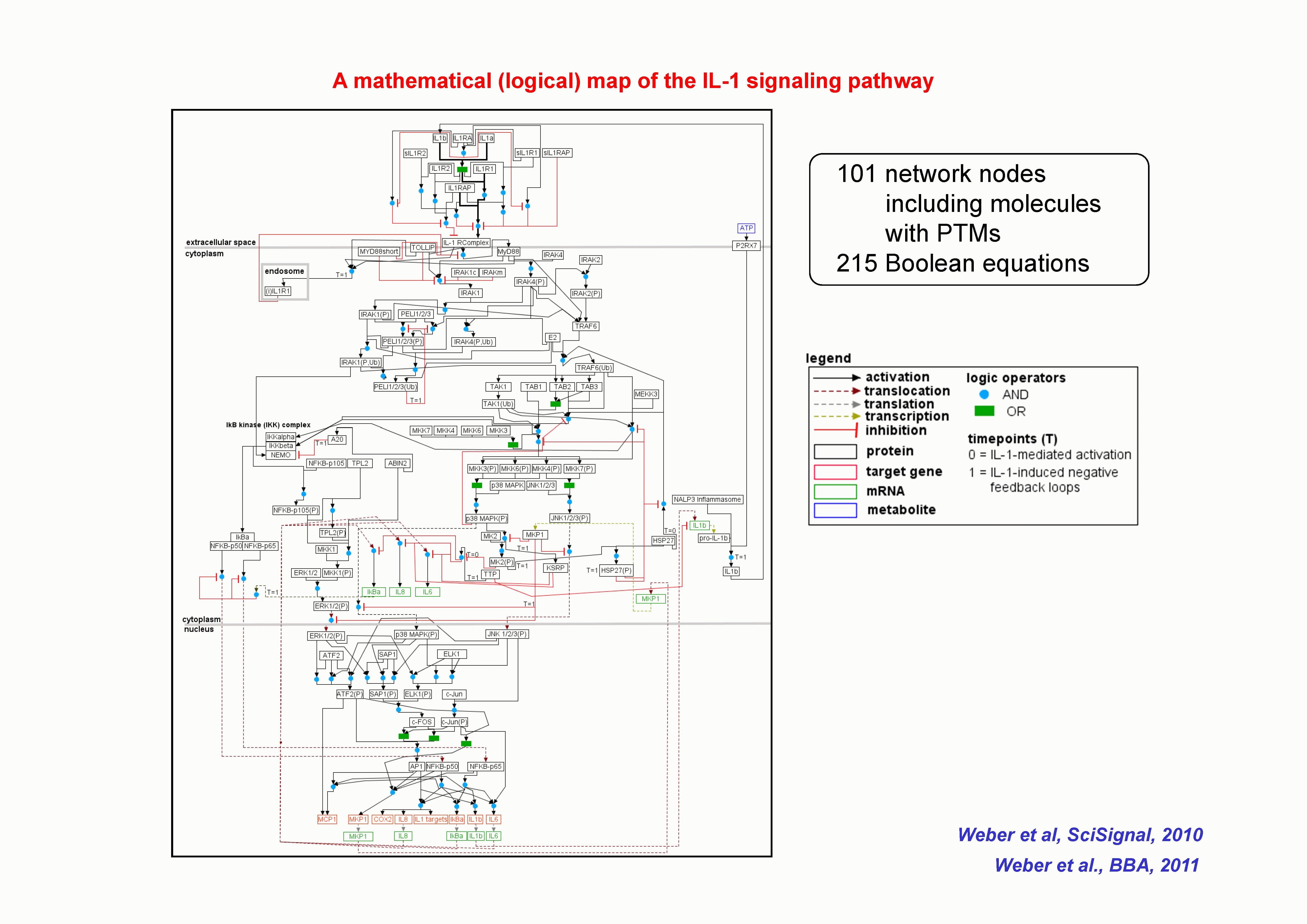 Logical MAP gif