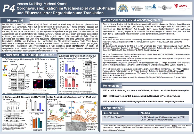 P4 Poster Krähling, Kracht_Coropan.JPG