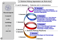 Pharmakologische Lernspirale