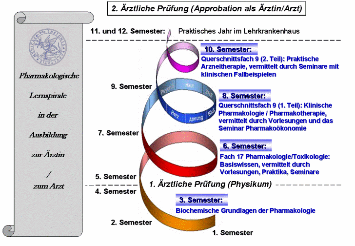 Pharmakologische Lernspirale