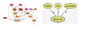 See our Science signaling maps !