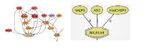 See our Science signaling maps !