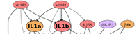 Science Signaling Map IL-1 schmal