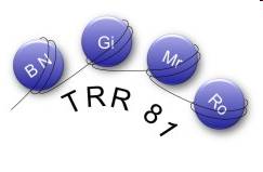 TRR81
