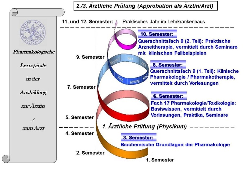 Pharmakologische Lernspirale_neu