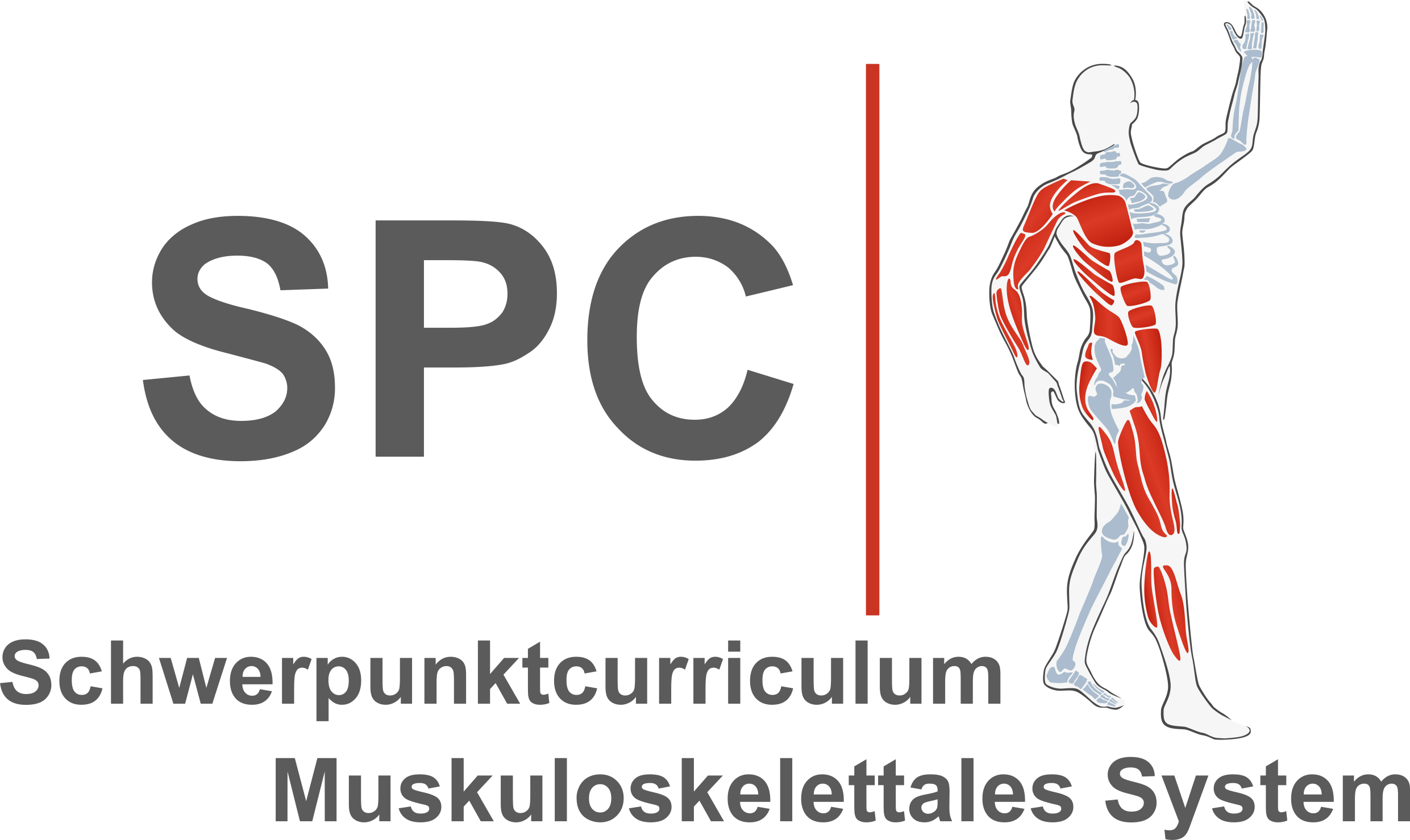 SPC Muskuloskelettales System