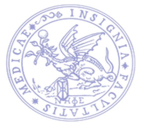 SPC.text.image3
