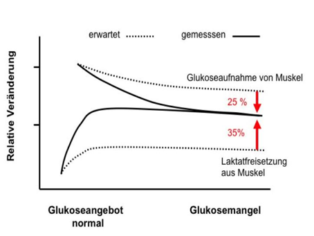 glukosekurve