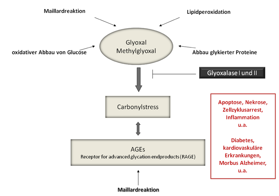 glyoxal