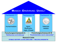 Organigramm