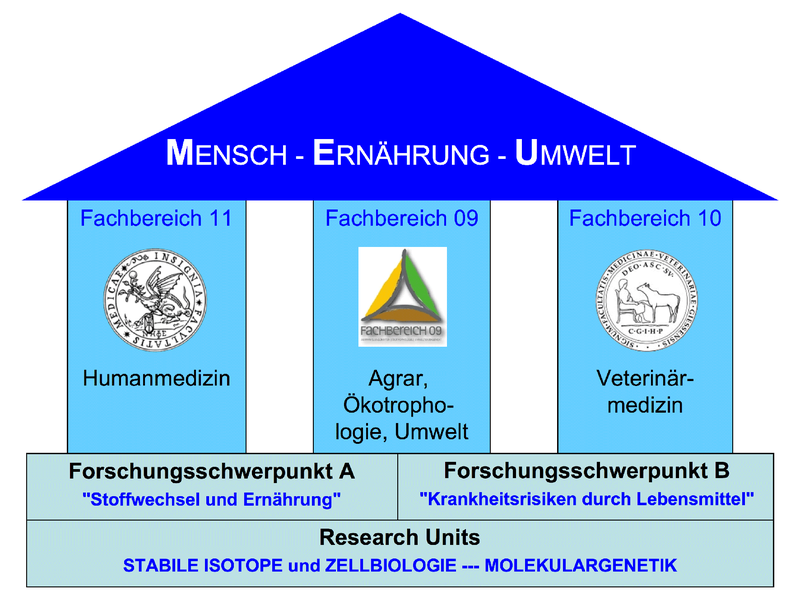 Organigramm