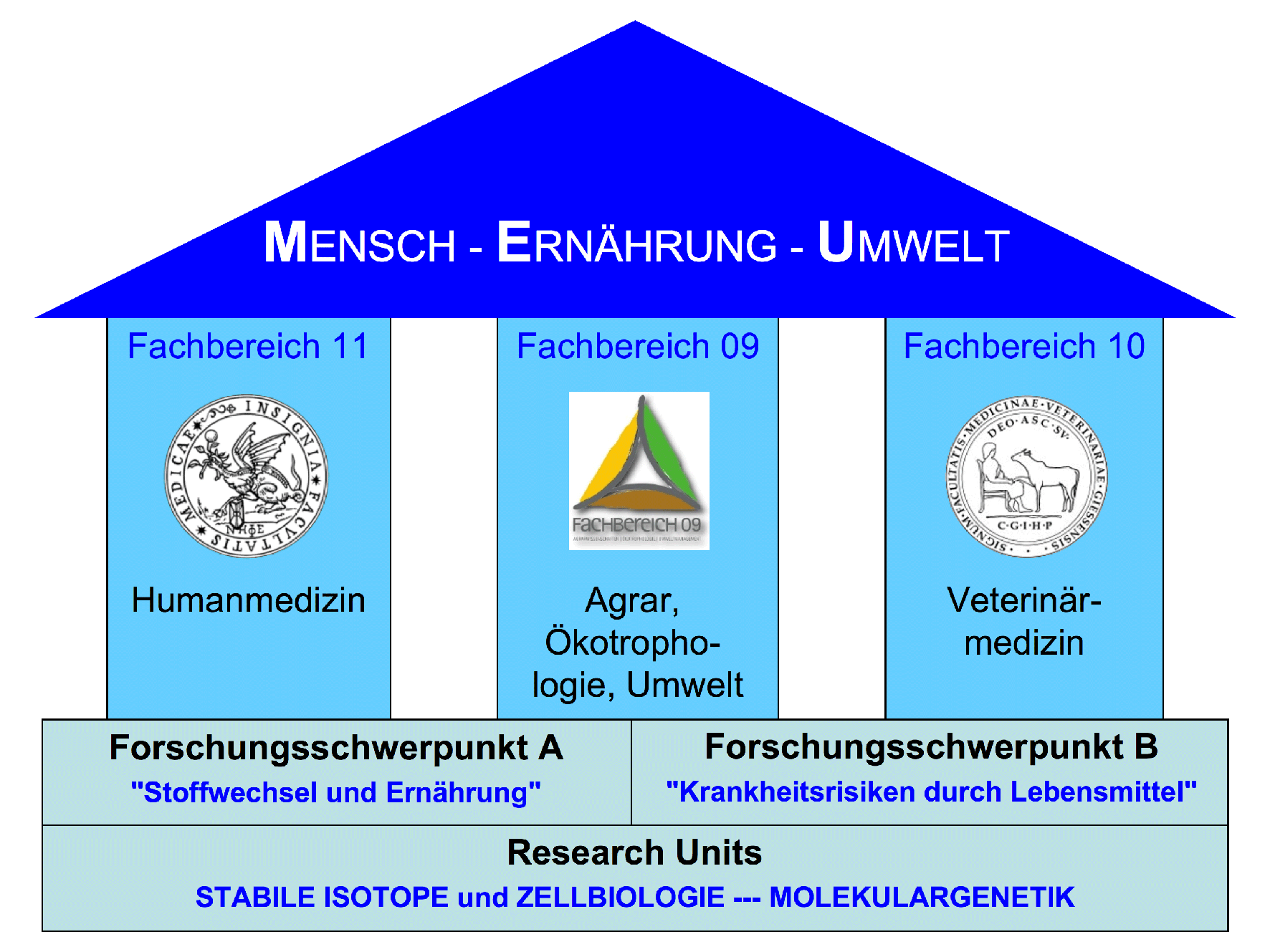 Organigramm