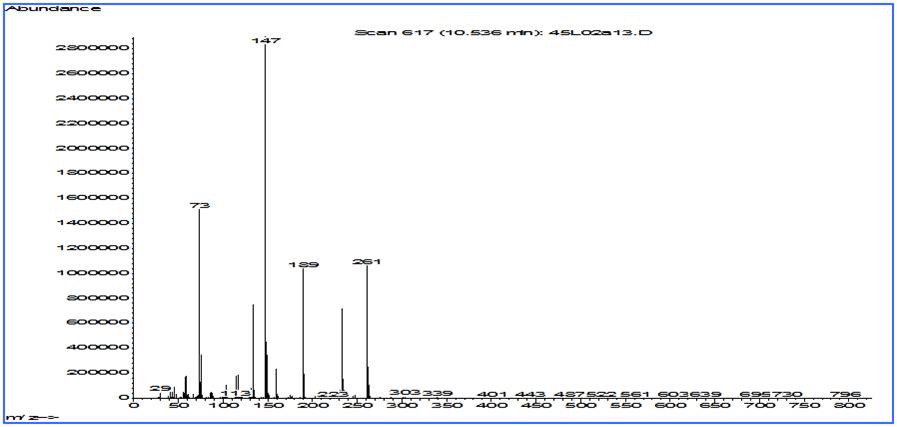 Abbildung 3.2.5b