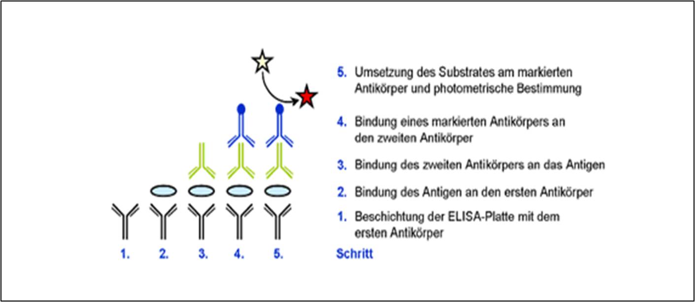 Abbildung 4.7.1