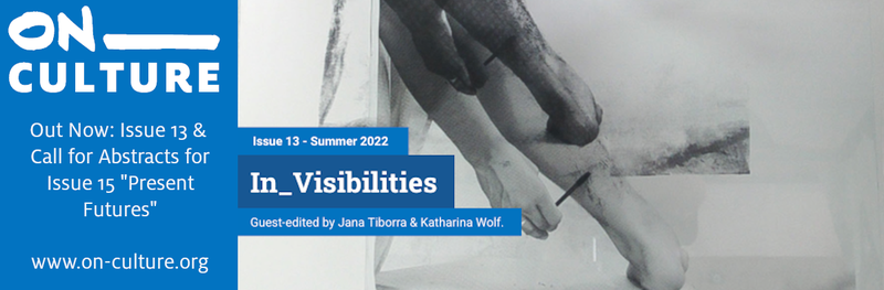 View On_Culture Issue 13: In_Visibilities