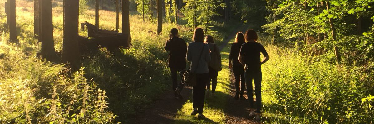Group of people walking in a sunny forest. Click on the image to go to the Support section of the website.
