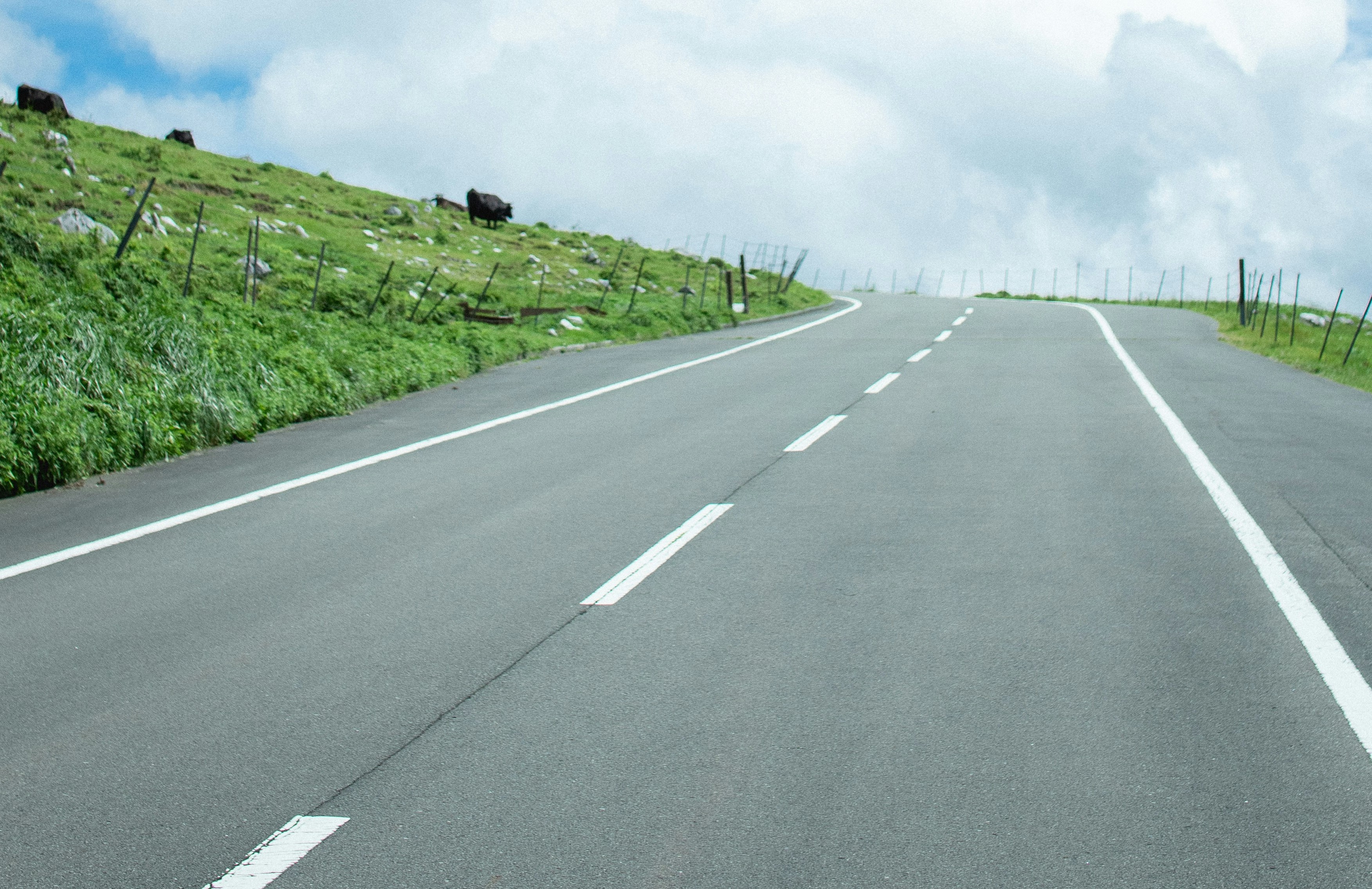 road.jpg