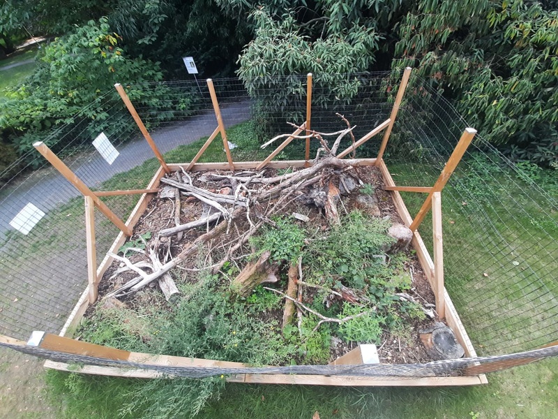 Lebendige Skulptur 4
