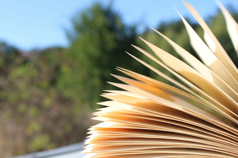 Literatur zum guten Leben.jpg