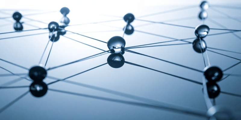 Network.jpg