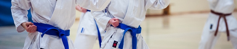 Slideshow-4 Karate