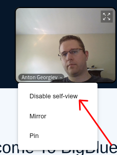 2.7-disable-self-view.png