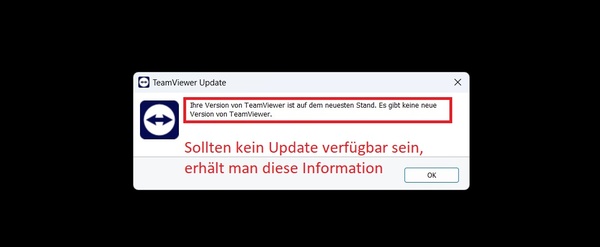 TeamViewer 6.jpg
