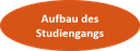Aufbau des Studiengangs