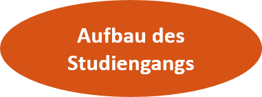 Aufbau des Studiengangs