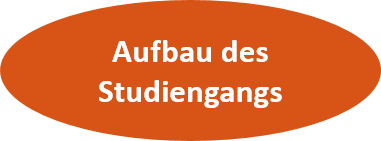 Aufbau des Studiengangs