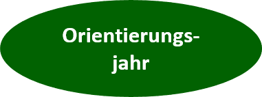 Orientierungsjahr Button
