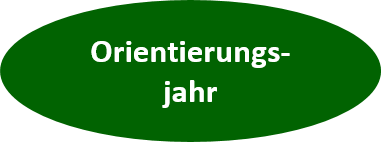 Orientierungsjahr Button
