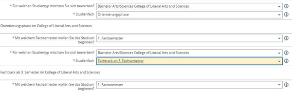 Anleitung Online-Bewerbung