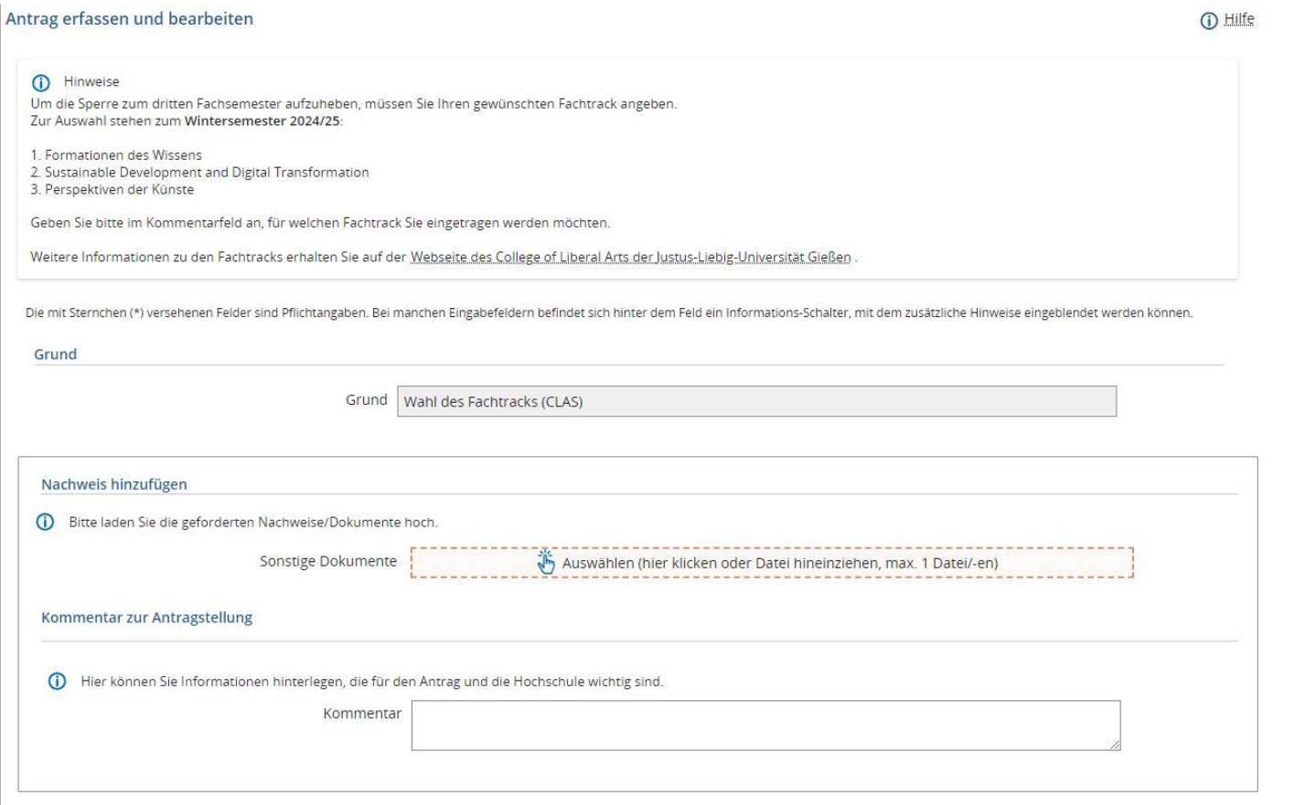 Anleitung Wahl Fachtrack