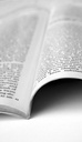 Mentorinfo
