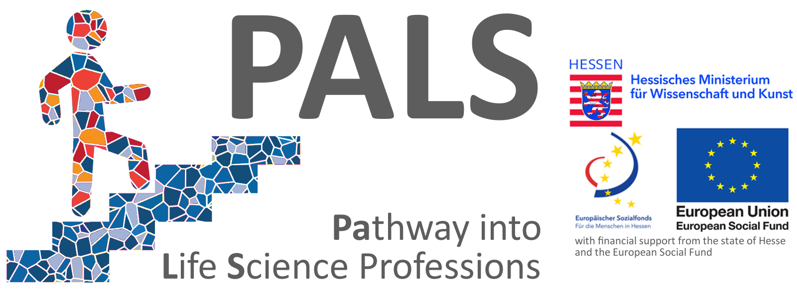 Logo PALS+ESF FINAL