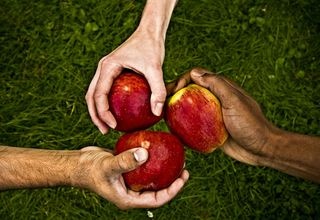 Apple Hands