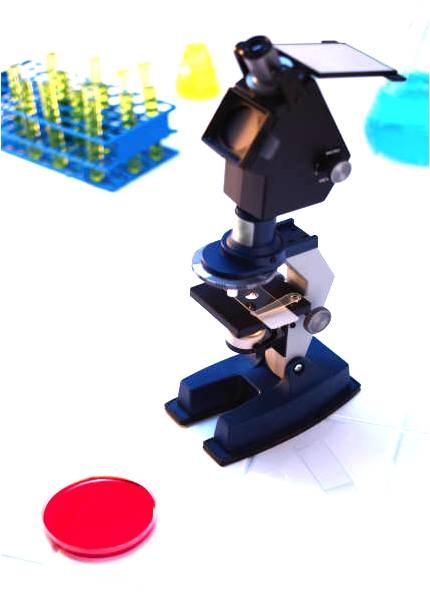 Microscope